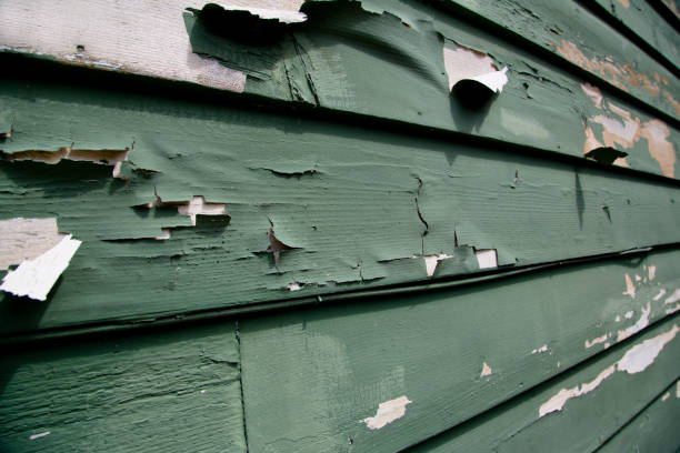 Best Construction Debris Removal  in Butler, IN